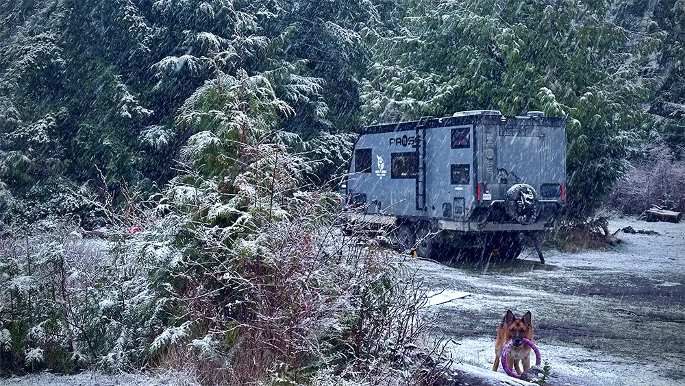 Reboot on Northern Vancouver Island